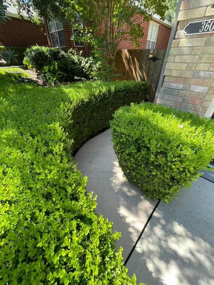 Pressure washing service 6